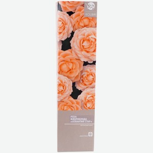 Саженец Розы микс, 1 шт