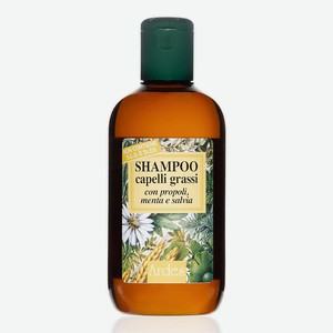 ARDES Шампунь для жирных волос, от облысения Shampoo capelli grassi, 250 мл