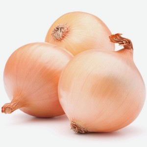Лук репчатый весовой 500 г