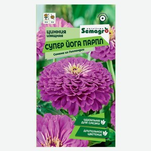 Семена «СамАгро» Цинния георгиноцветковая Супер Йога Парпл, 0,2 г
