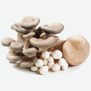 Грибы Есть Грибы Вешенка, эринги, шимеджи для супа по-алтайски 210г, 210 г