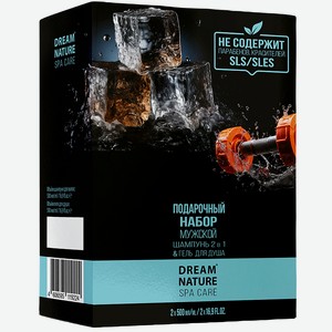 DREAM NATURE Подарочный набор мужской SPA&Care Шампунь и гель для душа, 2х500 мл
