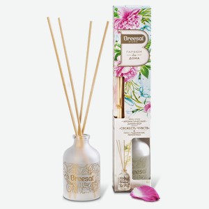 Диффузор ароматический Breesal Aromа Sphere Свежесть чувств, 40 мл