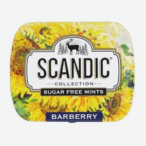 Конфеты без сахара со вкусом барбарис Scandic 14г в ассортименте