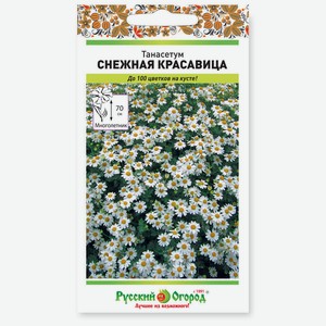 Цветы Танасетум Снежная Красавица (0,01г)