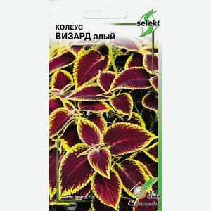 Колеус Визард, алый