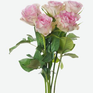 Букет Роза одноголовая, 5шт