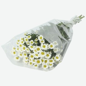 Букет хризантем Воздушный