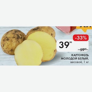КАРТОФЕЛЬ молодой белый, весовой, 1 кг
