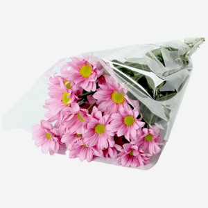 Цветы Русбукет Хризантема кустовая микс