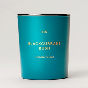 SIU Ароматическая свеча Blackcurrant bush, 1 шт.