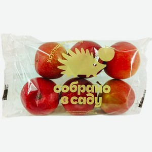 Яблоки Лебедянские Собрано в саду 6шт