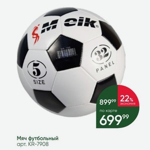 Мяч футбольный