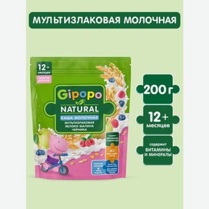 Каша Gipopo молочная мультизлаковая яблоко малина черника 200г 12 месяцев