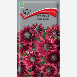 Семена Рудбекия Черри бренди