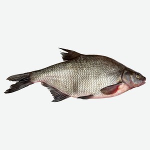 Лещ охлажденный непотрошеный с головой, вес цена за 1 кг