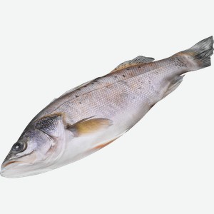 Сибас пятнистый 300–600г (из размороженного сырья), весовой