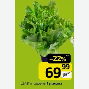 Салат в горшочке, 1 упаковка