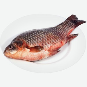 Карась ЛЕНТА FRESH СП непотр охл вес, Россия