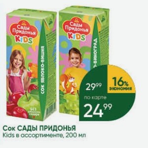 Сок САДЫ ПРИДОНЬЯ Kids в ассортименте, 200 мл