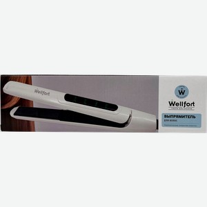Выпрямитель Wellfort BY-605