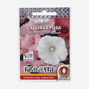 Лаватера Садовая роза Русский