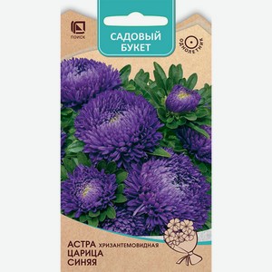 Семена Астра хризантемовидная Царица Синяя