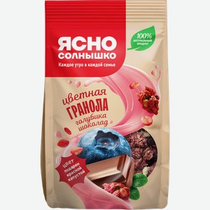 Гранола ЯСНО СОЛНЫШКО С голубикой и шоколадом, 250г