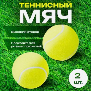 Теннисный мяч, 2шт СТЕПАНИП