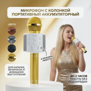 Микрофон с колонкой портатив. аккум.имп