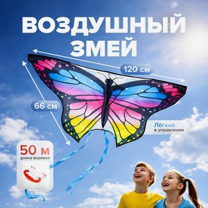 Воздушный змей М ИМП