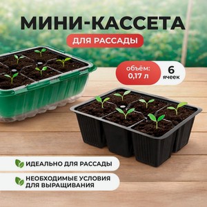 Миникассета для рассады 6 ячеек ПТК