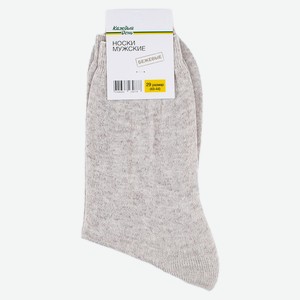 Носки мужские «Каждый день» бежевые, размер 29