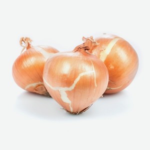 Лук репчатый, вес 500 г