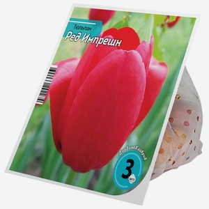 Луковицы тюльпана Ред Импрешн 10/11 3шт.