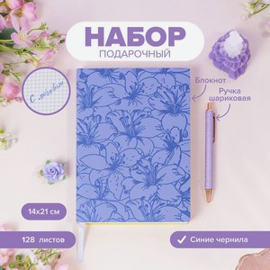Набор подарочный:блокнот 128л и ручкаимп