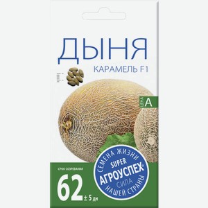 Семена Рости ТПК Дыня Карамель F1 1 г