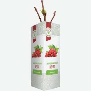 Саженец Русский Огород Смородина Красная Мечта 1шт