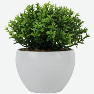Искусственные цветы Seasons в горшке DC25070202 в ассортименте