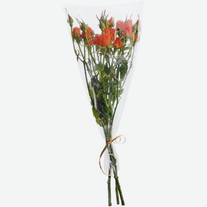 Монобукет Новая Голландия Роза кустовая, 3шт