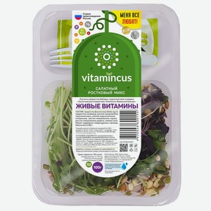 Микс Vitamincus Живые Витамины салатный ростковый 100г, 100 г