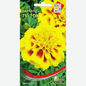 Бархатцы Ту-Тон