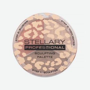 Контуринг для лица тон 01 Stellary 12 г