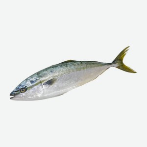 Лакедра 800 г