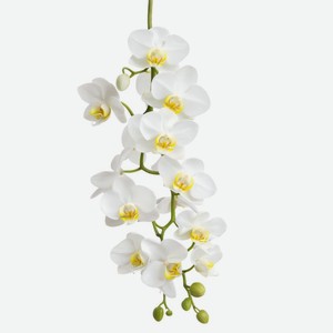 Букет Seasons Орхидеи из искусственных цветов, 1шт., 1 шт
