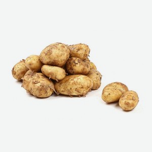 Картофель белый