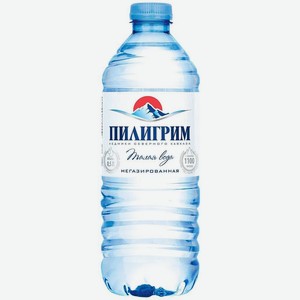 Вода питьевая Пилигрим ледниковая талая негазированная 0,5л