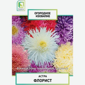 Семена Поиск Огородное изобилие Астра Флорист, 0.3г, 3 г