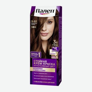 Стойкая крем-краска для волос Палетт Интенсивный цвет 5-57 (GK4) Благородный каштан