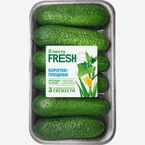 Огурцы ЛЕНТА FRESH короткоплодные колючие, Россия, 450 г